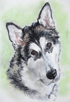 /album/zvieratka-suchy-pastel/obraz-006-jpg/